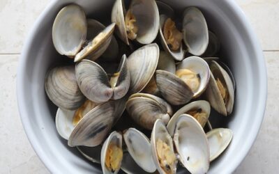 Fish Food: Seafood on pizza