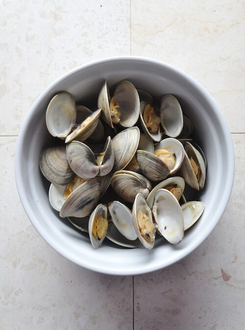 Fish Food: Seafood on pizza