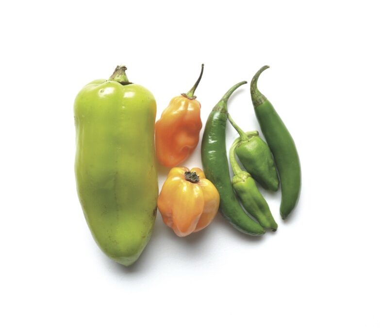 2016 Menu Trends — So Hot!