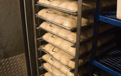 Knead to Know: Sticky Situation