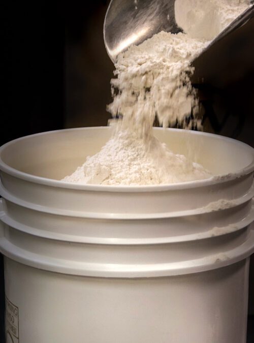 Knead to Know: Taking the Next Step