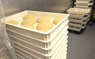 Knead to Know: Dough Doctor addresses refrigerated dough expansion