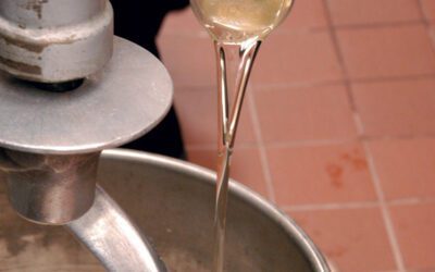Knead to Know: Downward Spiral