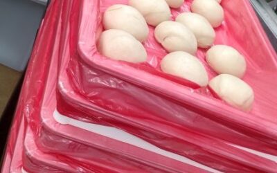 Food Safety is Priority Number One — DoughBox Bags