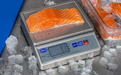 Globe’s new GPS10-S Waterproof Scale is Making Waves!