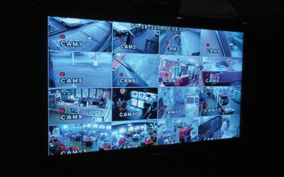 Protecting Employees Against Workplace Violence