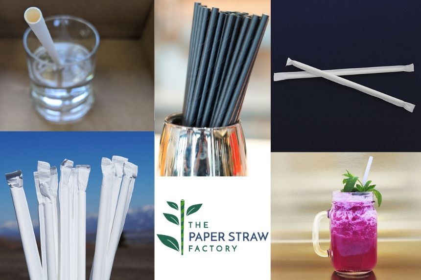 paper straws, eco-friendly straws, the paper straw factory