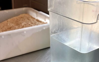Knead to Know: A primer on baker’s yeast and what makes each type unique