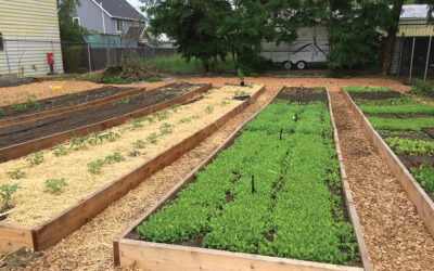 Sustainability for the Dual Win
