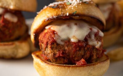 Hormel Foodservice, maker of the FONTANINI Brand, Introduce New Chicken and Beef Meatballs to Foodservice Operators.