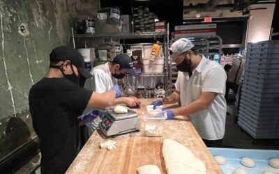 Knead to Know: What Comes After the Mix for your Batch of Dough