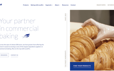 New Website from Lesaffre Simplifies Solution-Finding for Bakers