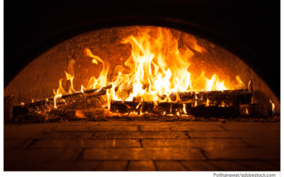 Knead to Know: A Perfect Bottom Bake Pizza