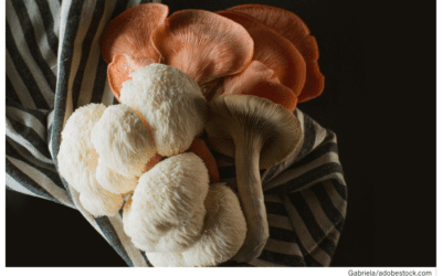 Lion’s Mane and King Trumpet Mushrooms: Tap two “king” mushroom varieties for your menu