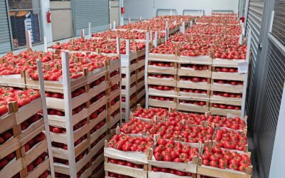 How Will Tariffs Impact Independent U.S. Pizzeria Operators?