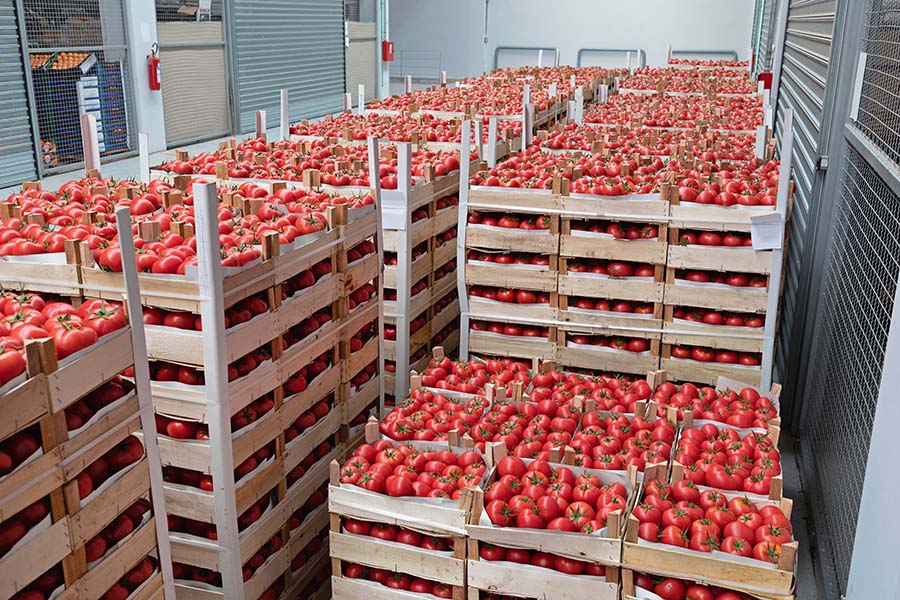 How Will Tariffs Impact Independent U.S. Pizzeria Operators?