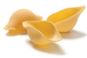 Conchiglioni, jumbo shell pasta is ideal for stuffing and baking