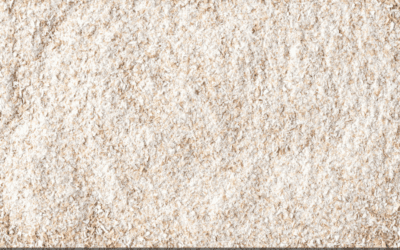 Your pizza dough might benefit from adding whole-grain flour | Knead to Know