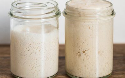 How to Make a Sourdough Starter | Knead to Know