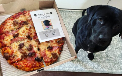 Black Dog Pizzeria | Pizzeria Community Impact