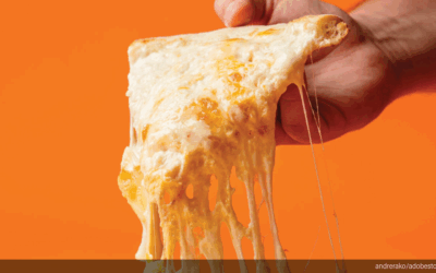 Navigating the Cheese Market | The Big Cheese