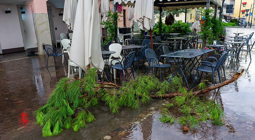 Image of storm at restaurant with heavy rain and fallen branches.