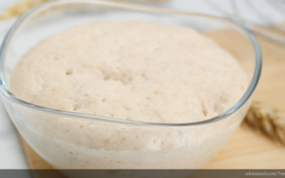 Yeast Choices for Pizza Dough: Rise to the Occasion | Knead to Know