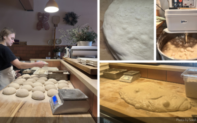 Following the Grain | Adding Whole Grains to Pizza Dough