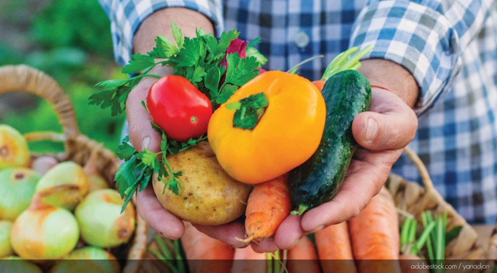 Image of two hands holding a medley of fresh vegetables.